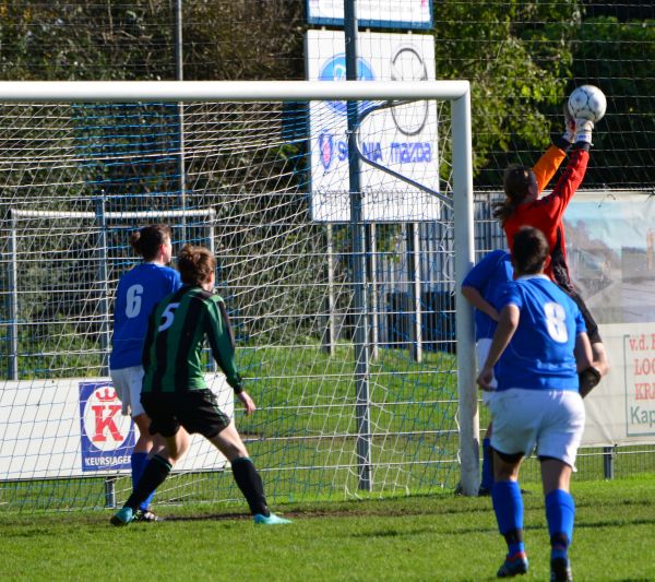 Foto: Teisterbanders VR1 - Trekvogels VR1