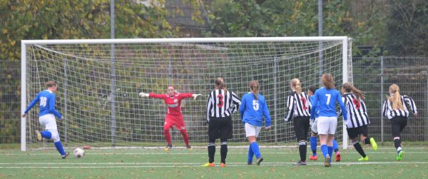 Foto: Eldenia VR2 - Teisterbanders VR1