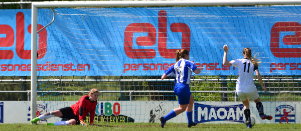 Foto: Teisterbanders VR1 - Blauw Wit VR1