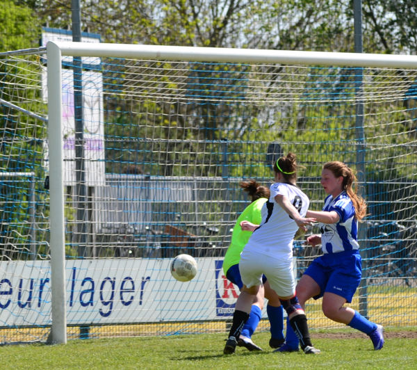 Foto: Teisterbanders VR1 - Blauw Wit VR1